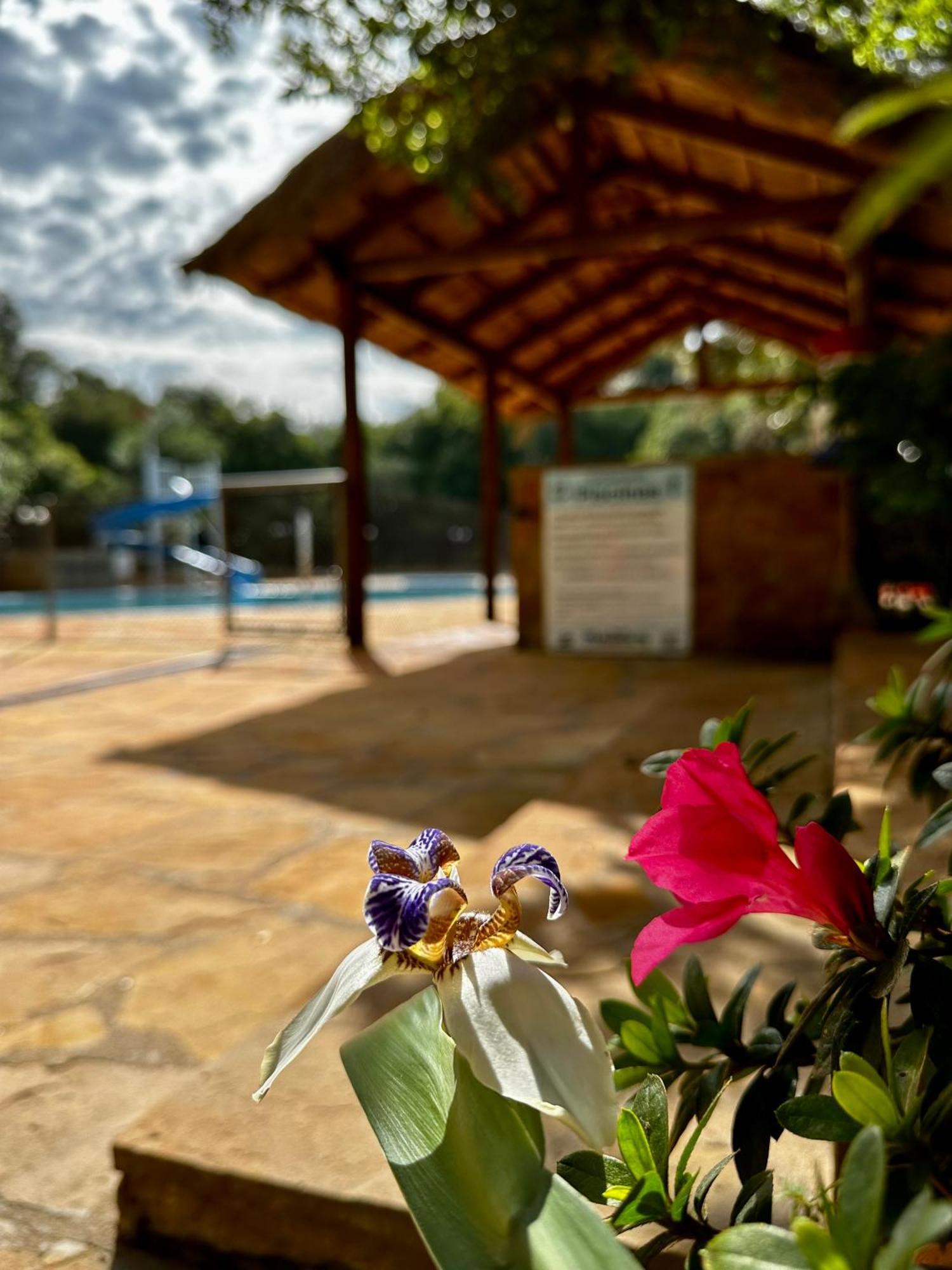 Parque Hotel Manantial Hohenau Eksteriør bilde